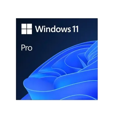 Microsoft Windows 11 Professional Descarga instantánea Versión OEI 1 licencia para PC (1)