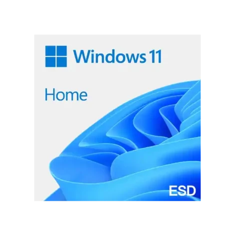 win 11home (1)
